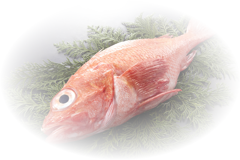 お食事 【公式】能取の荘 かがり屋