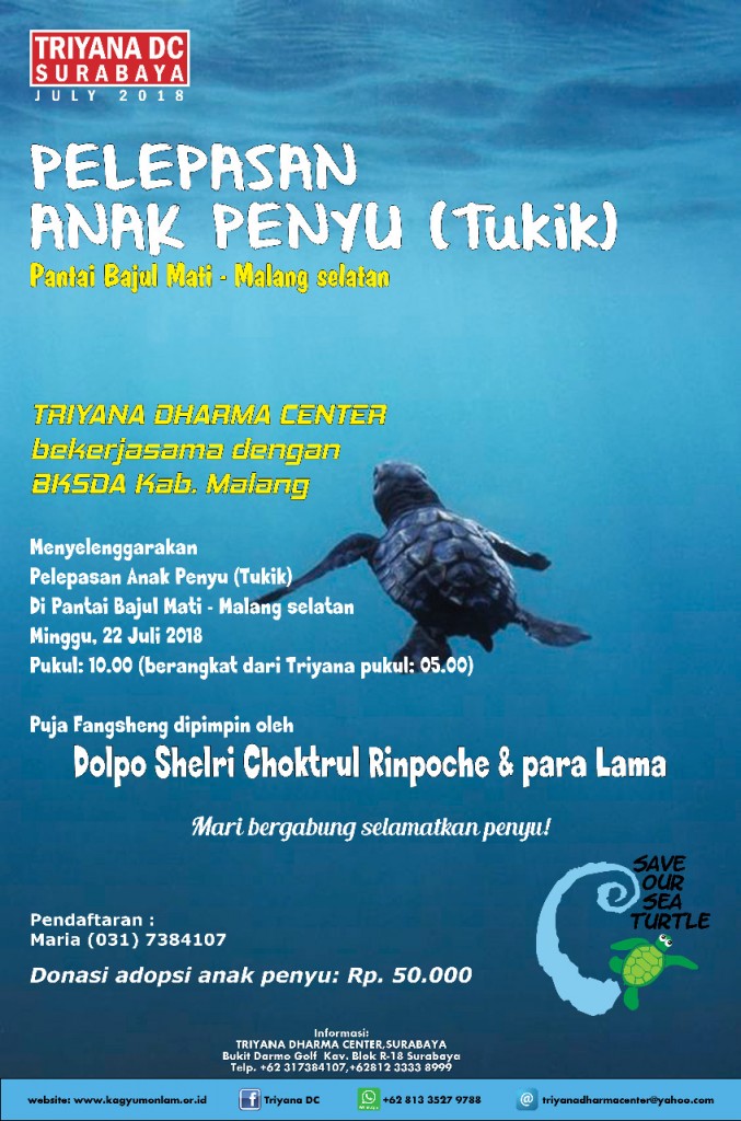 Pelepasan Anak Penyu (Tukik)