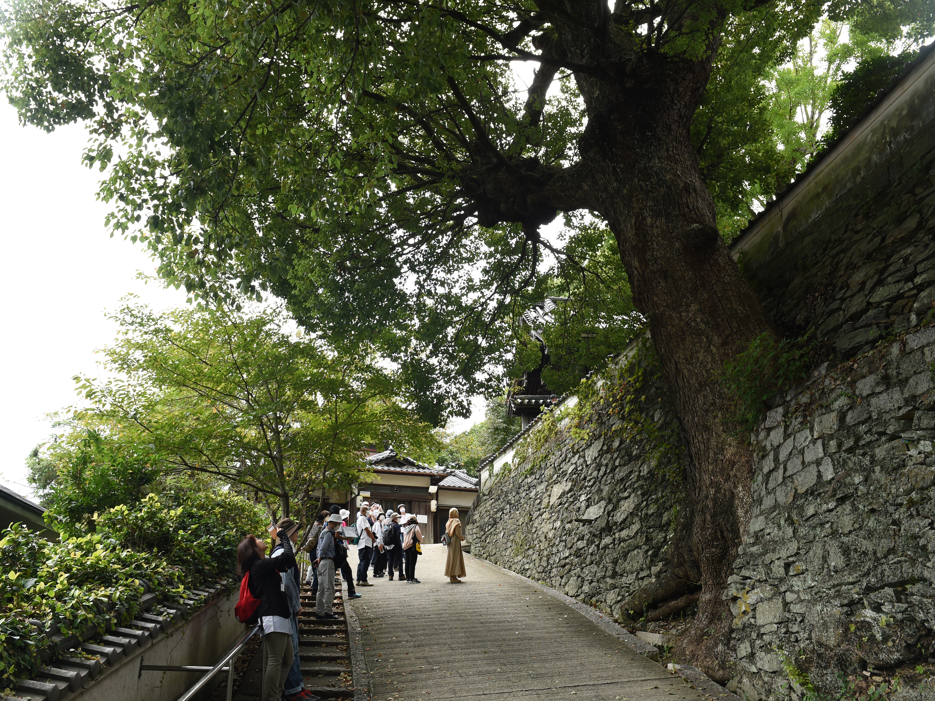 2020秋 熊野古道わくわくハイク2 海南観光ナビ