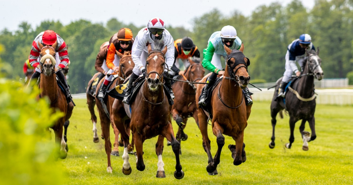 5 Interesting Horse Racing Facts You Don't Already Know