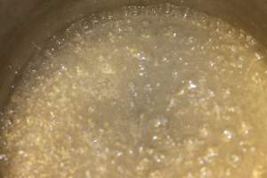 IMG_8421