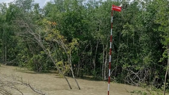 ডলফিন রক্ষায় বন বিভাগের নতুন কার্যক্রম