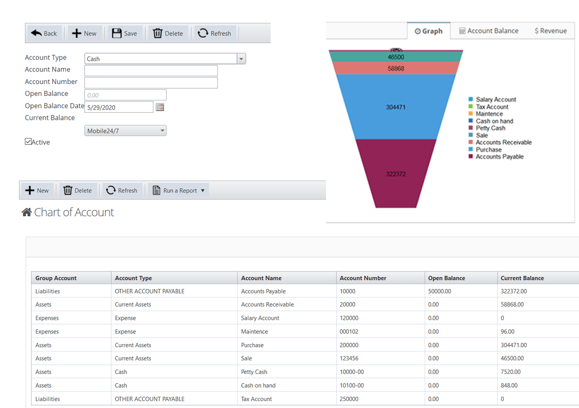 Basic Chart Of Accounts Structure