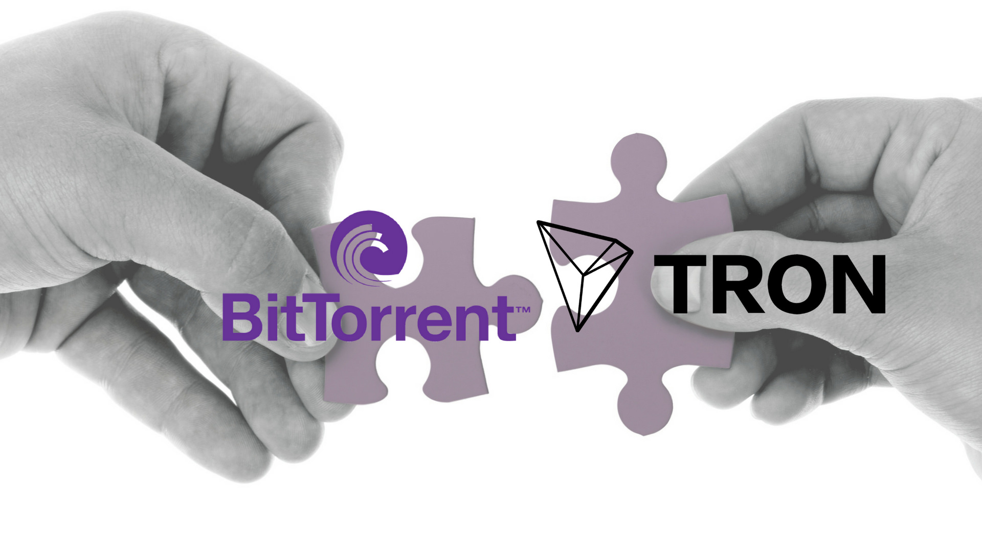 Компанията BitTorrent създател на едноименния P2P протокол и популярния торент