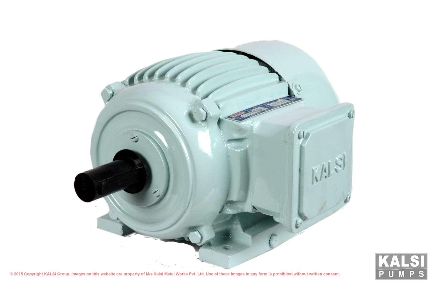 Kalsi Group » Product Categories » Squirrel Cage Induction Motors