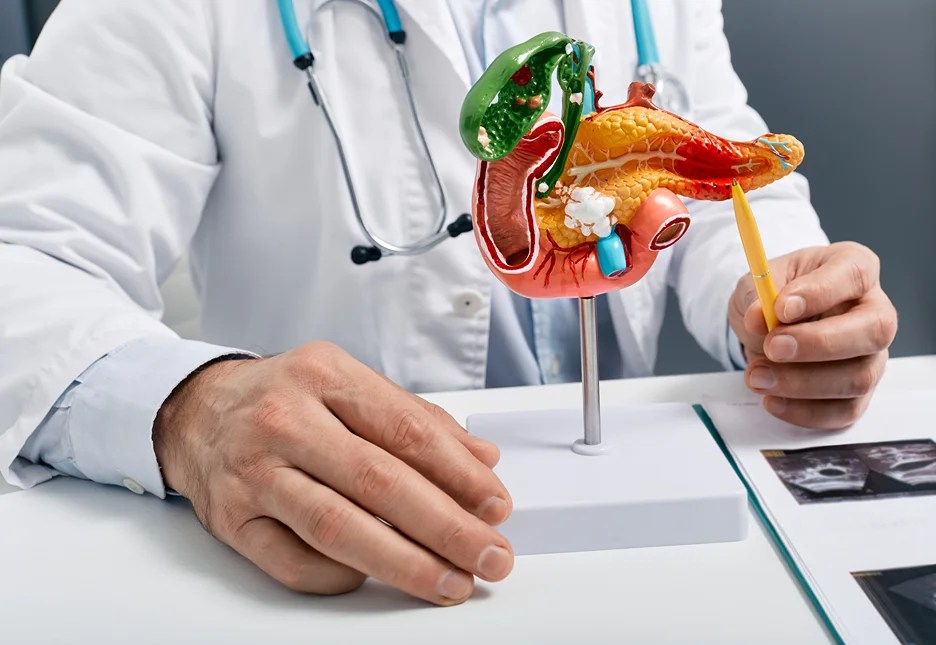 Understanding the Link Between Lower Back Pain and Diarrhea Kaly