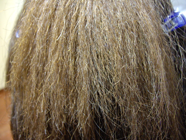 crispy hair Best Hair Beauty Salon ArtNoise Blog