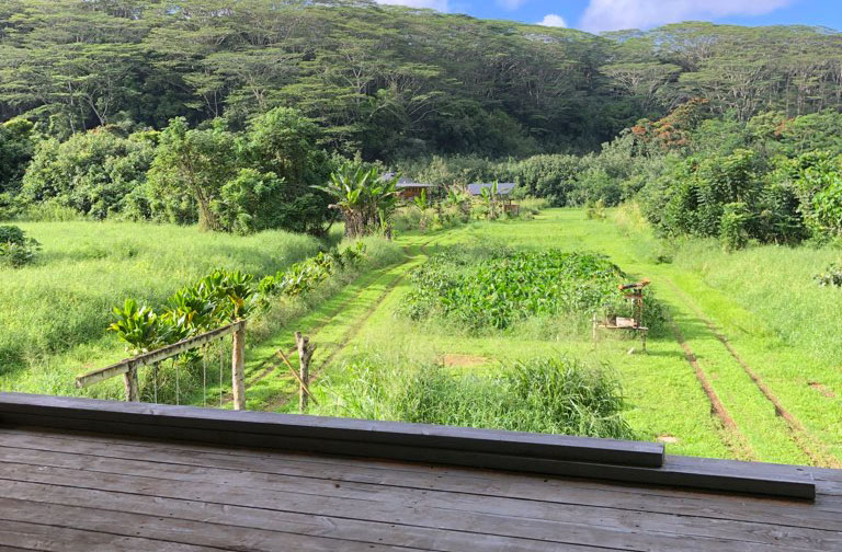 Water Rights in Kauaʻi Ka Mō'ī