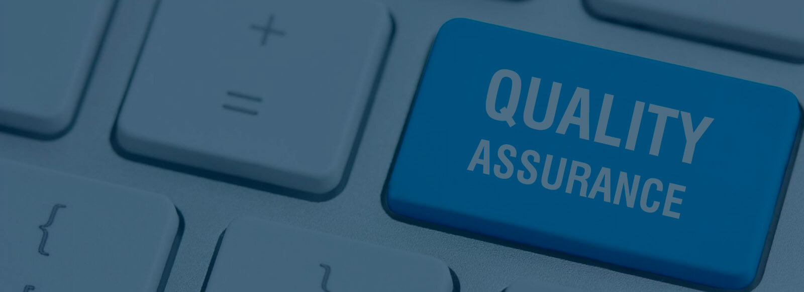 QA and Testing Services India,Software Testing Services India and