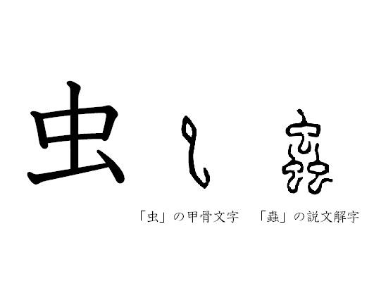 漢字コラム38「虫」鳥も亀も魚も人も、みんなムシなんだ コラム 日常に“学び”をプラス 漢字カフェ