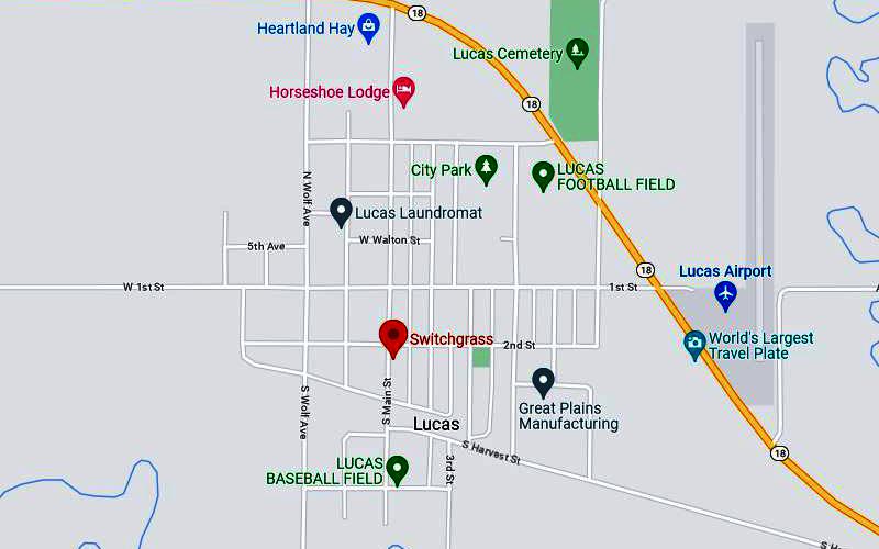 Switchgrass Lucas, Kansas