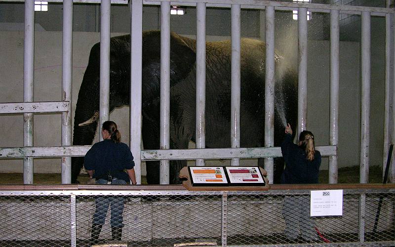 Topeka Zoo Topeka, Kansas