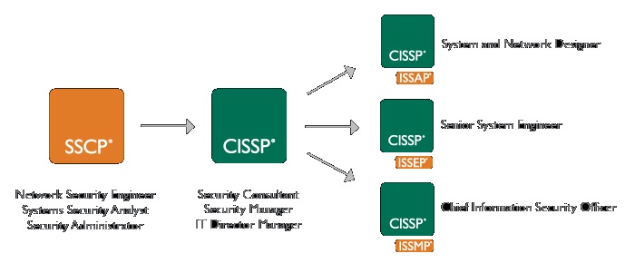 CCSP vs. CISSP: Which One Should You Take? Varonis