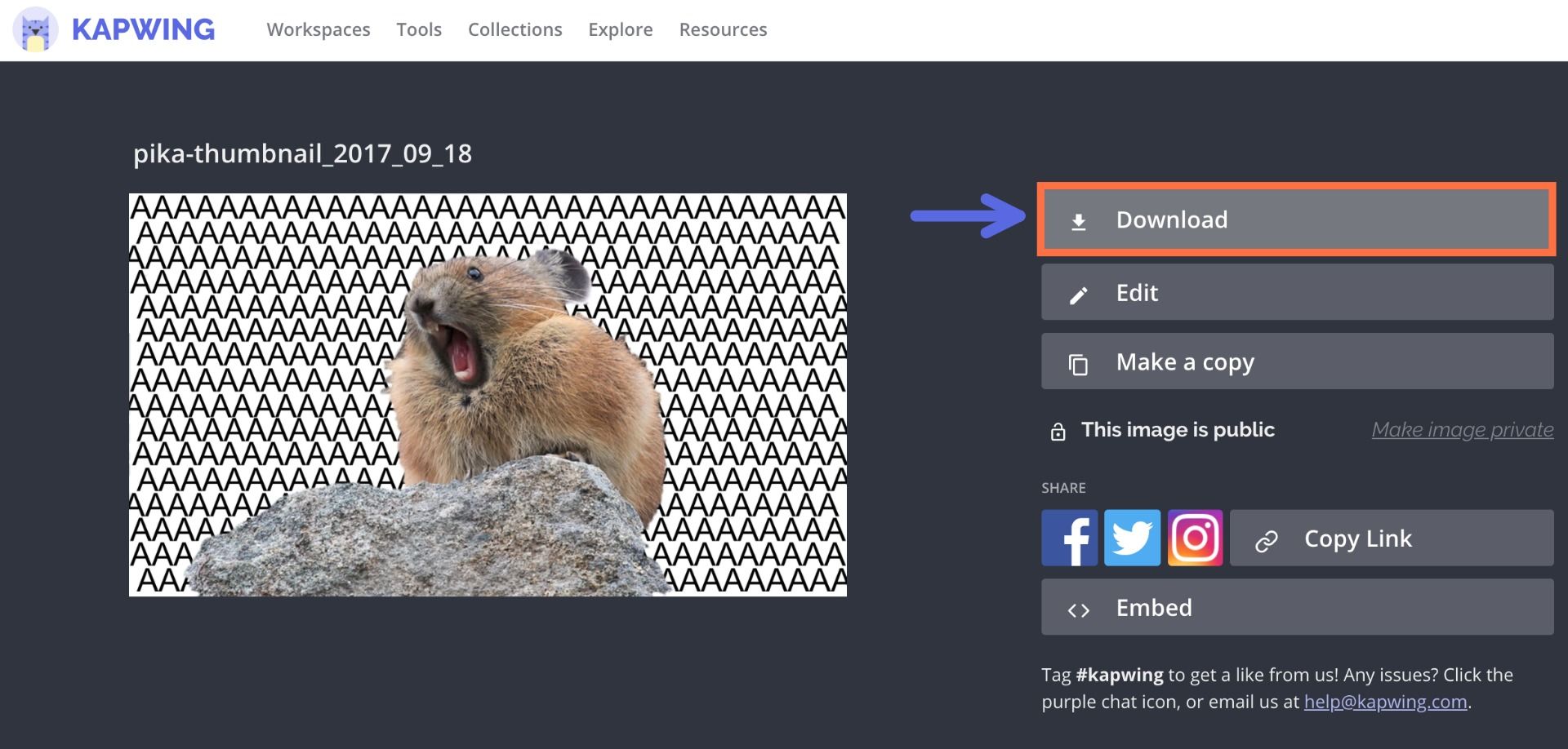 Remove Picture Background Online Free / 4 Best Free Software To Remove