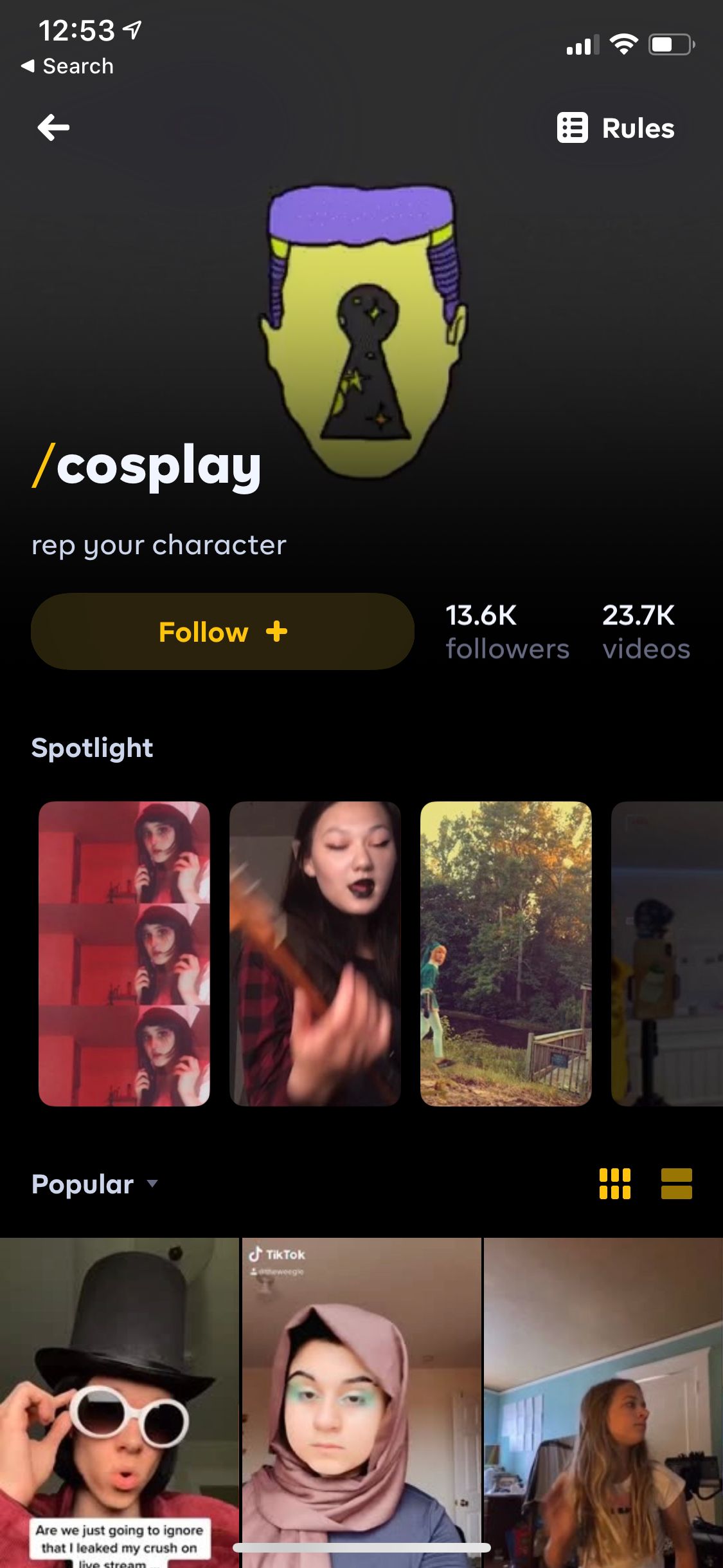 How to Share TikTok Videos to Instagram Reels, Triller