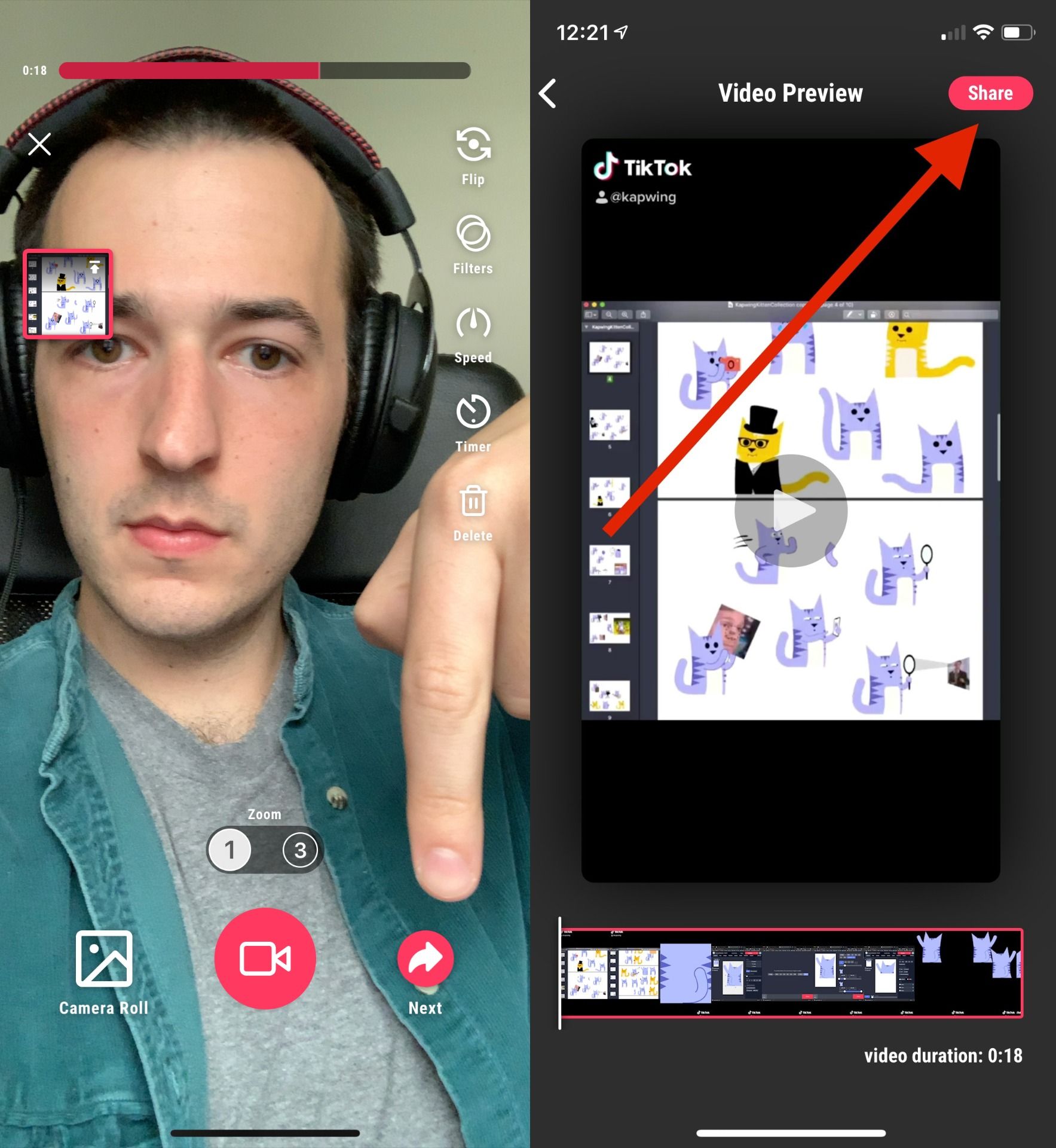 How to Share TikTok Videos to Instagram Reels, Triller