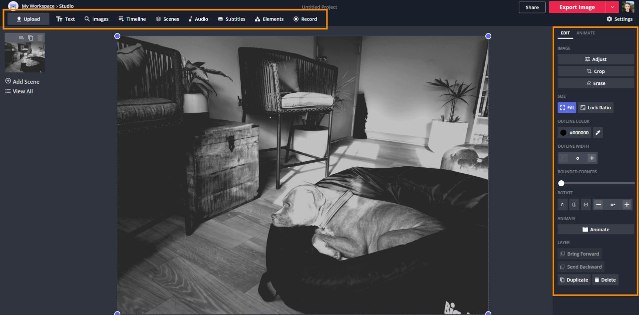 The Easiest Black and White Photo Editor Online