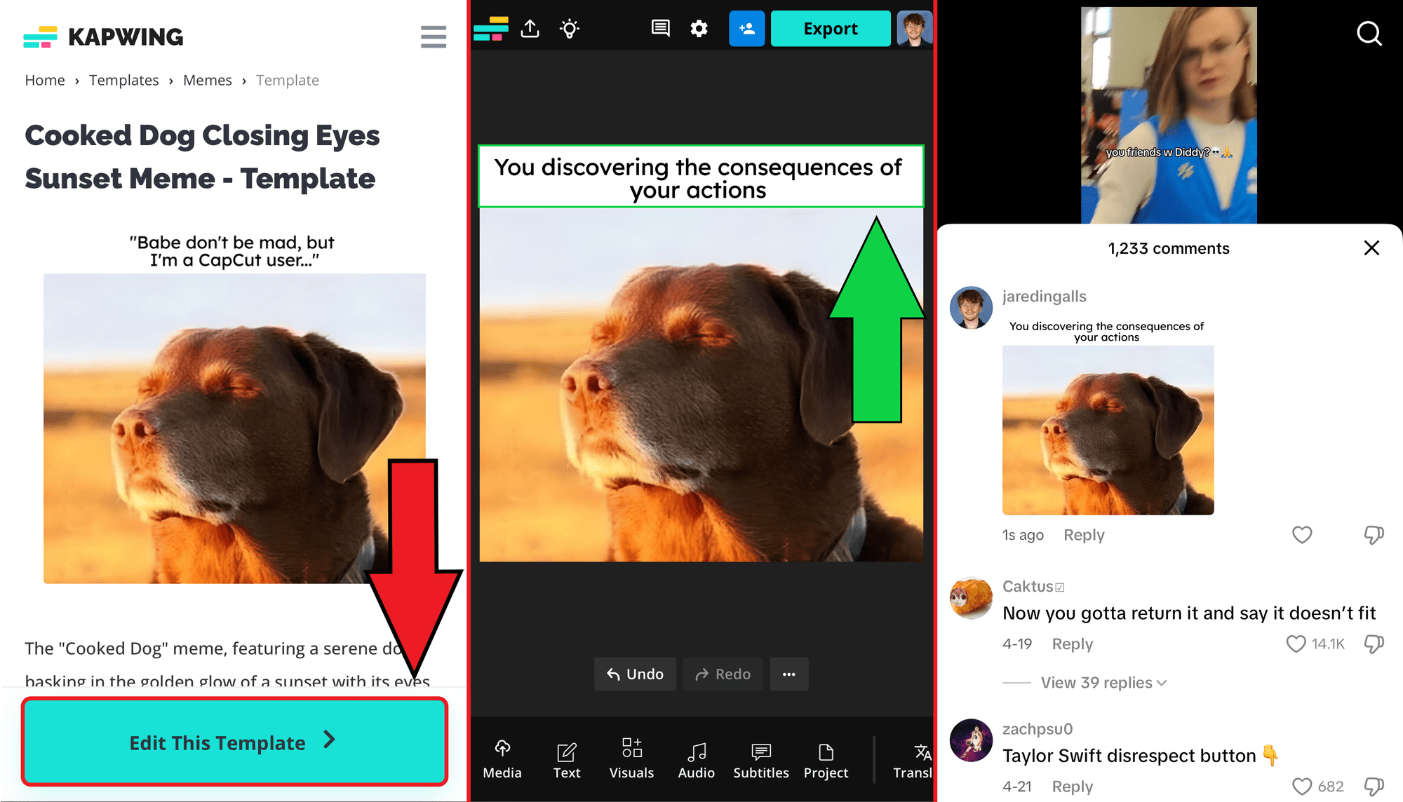 How to Comment Pictures on TikTok (and Trending Memes)