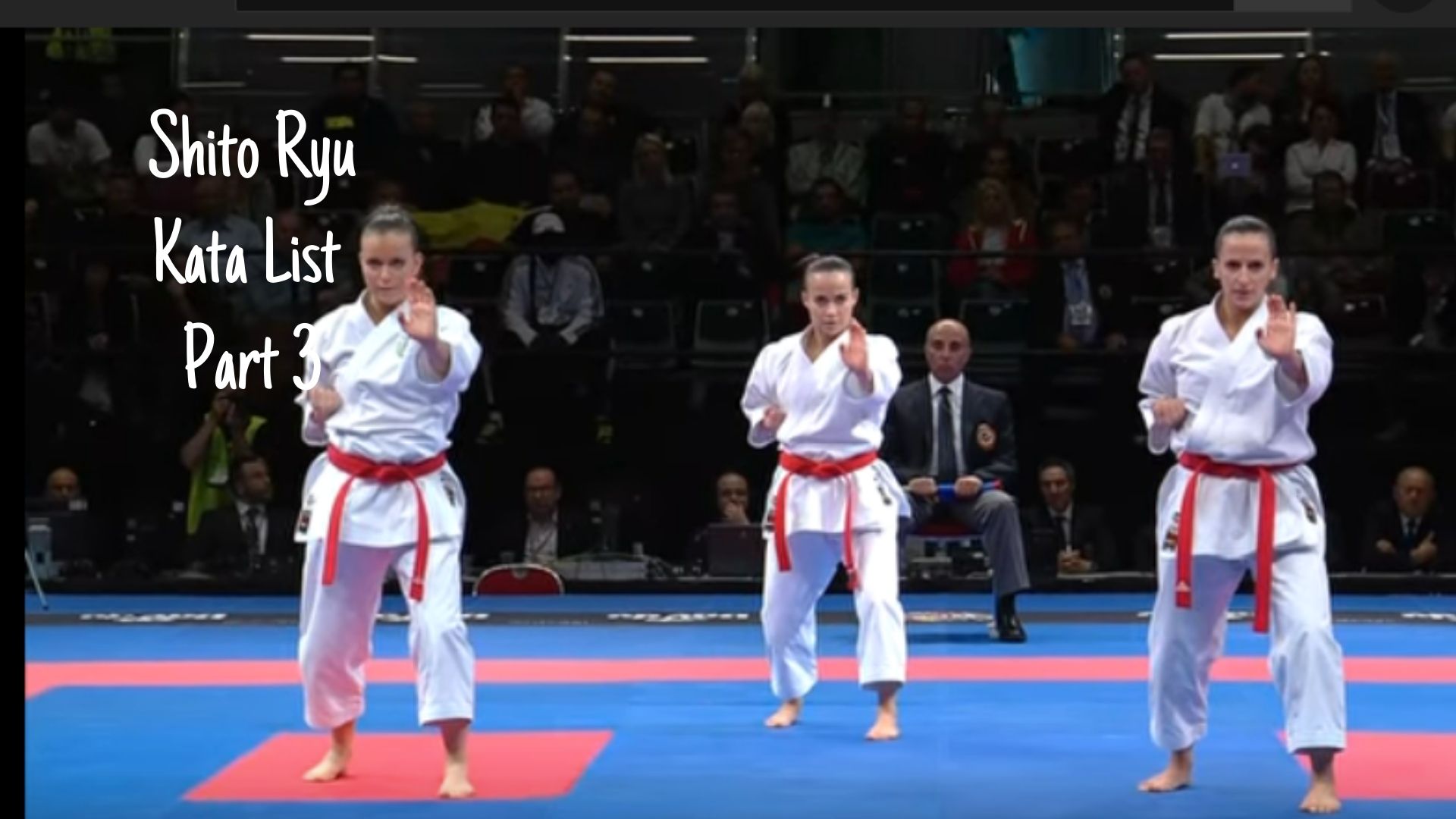 A Complete List of Shito Ryu Kata with Videos (P. 3)