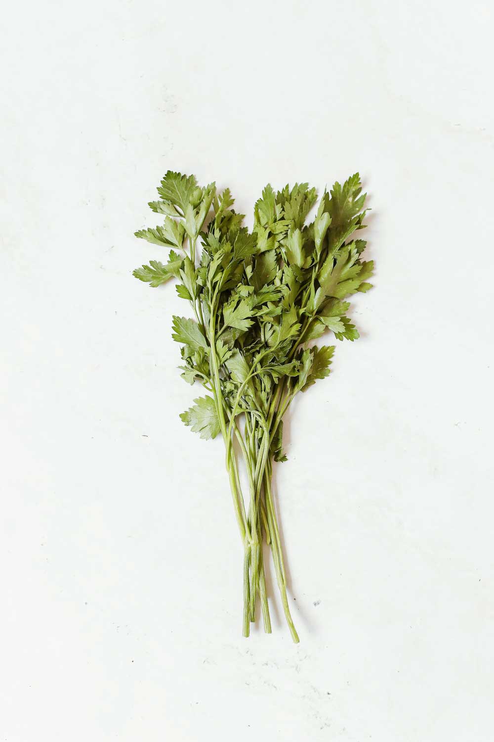 Is celery low FODMAP? Karlijn's Kitchen