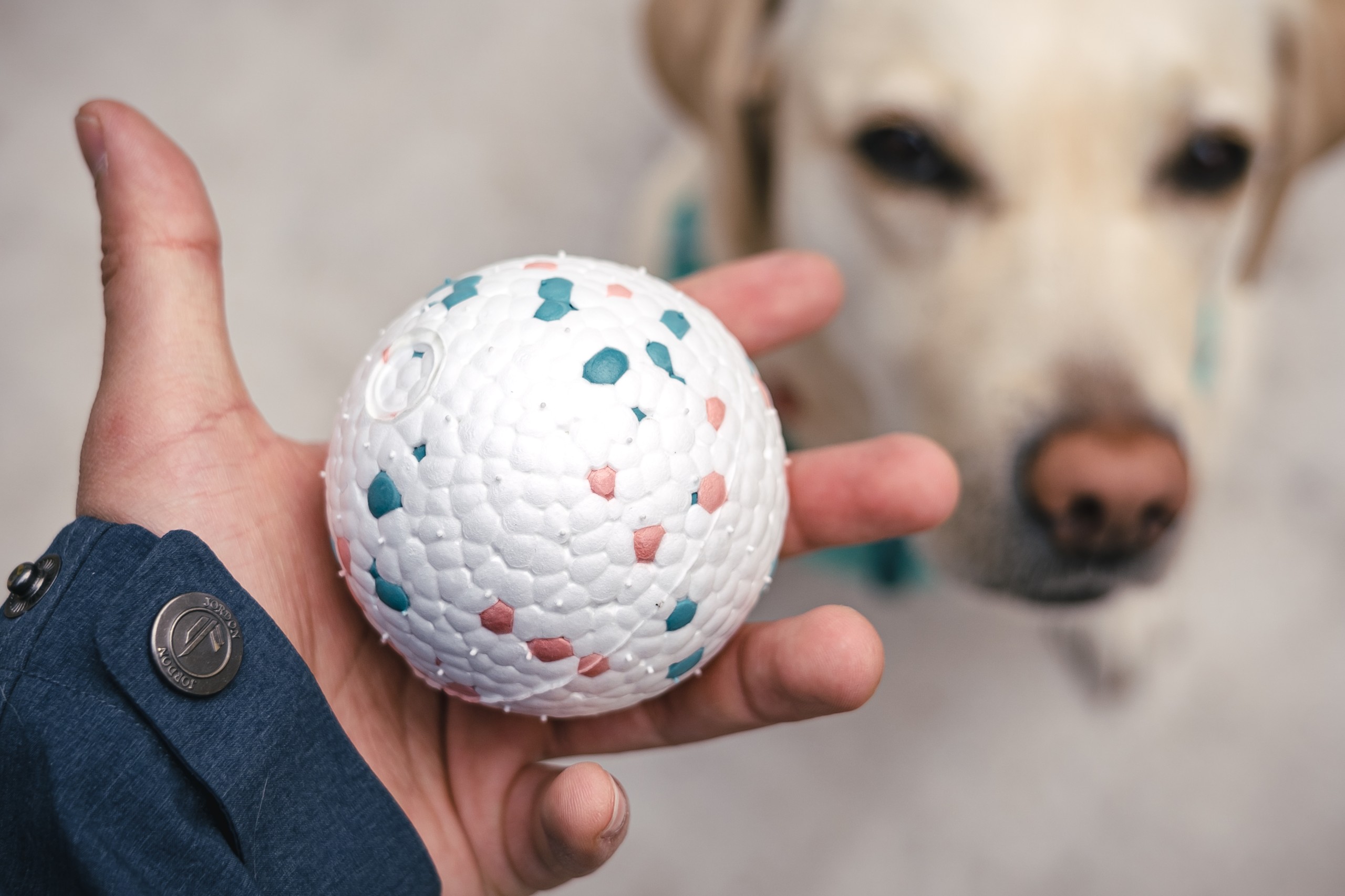 ETPU Pet Toys The Future of Sustainable and Safe Playtime Dog Toy & Yoga Mat Manufacturer