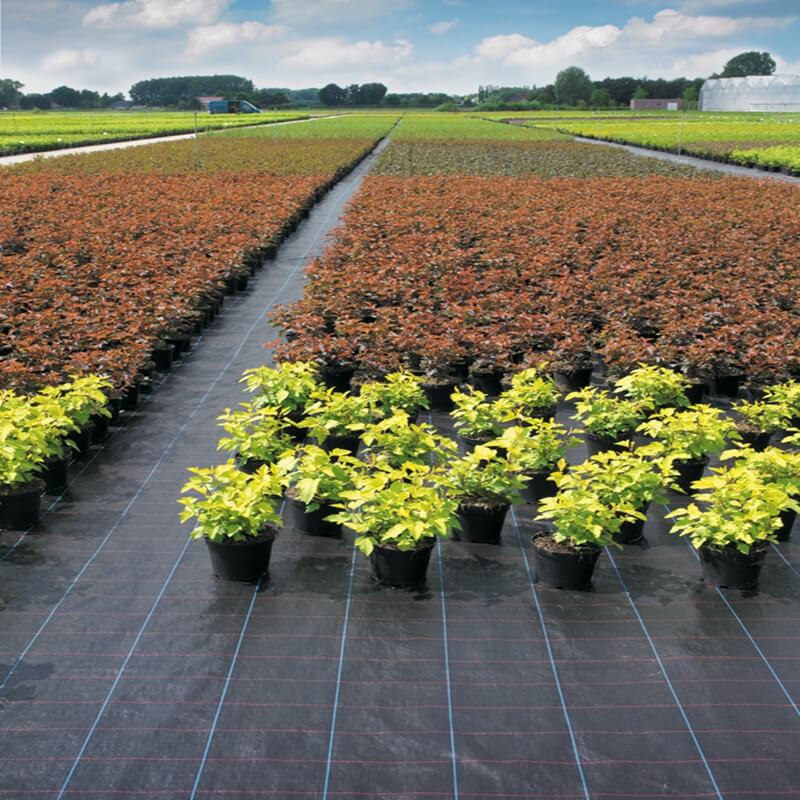 Couvresol Tissu，Suppression des mauvaises herbes en tissu
