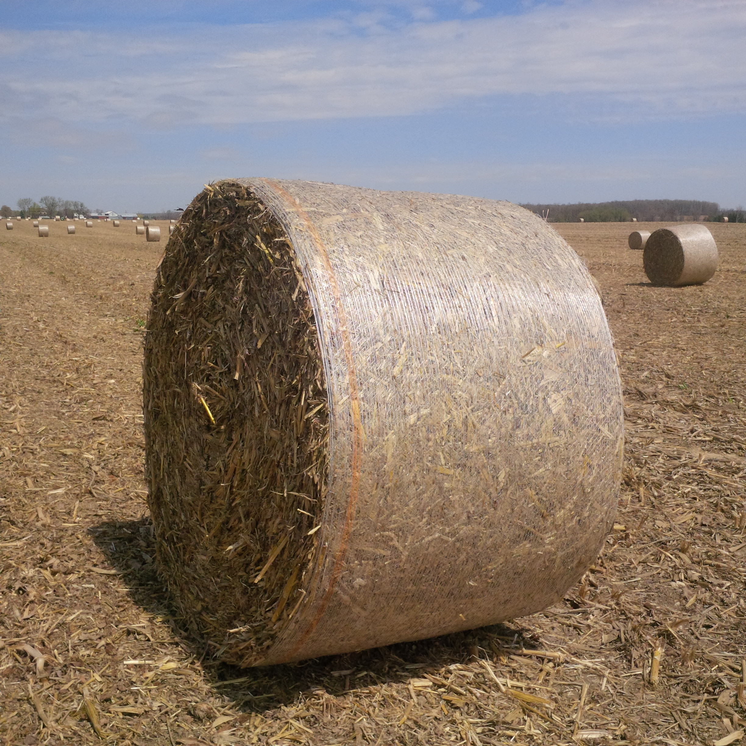 how to buy pallet wrap net, bale wrap net, stretch pallet netting?