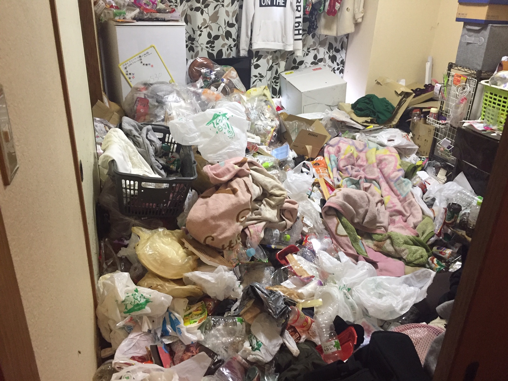 500匹を超えるG！3年ぶりに床が見えたゴミ屋敷の片付け【大阪府】 片付けエースのブログ