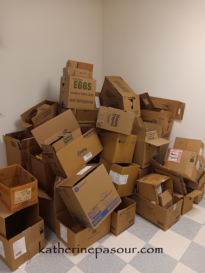 Empty boxes Katherine Pasour