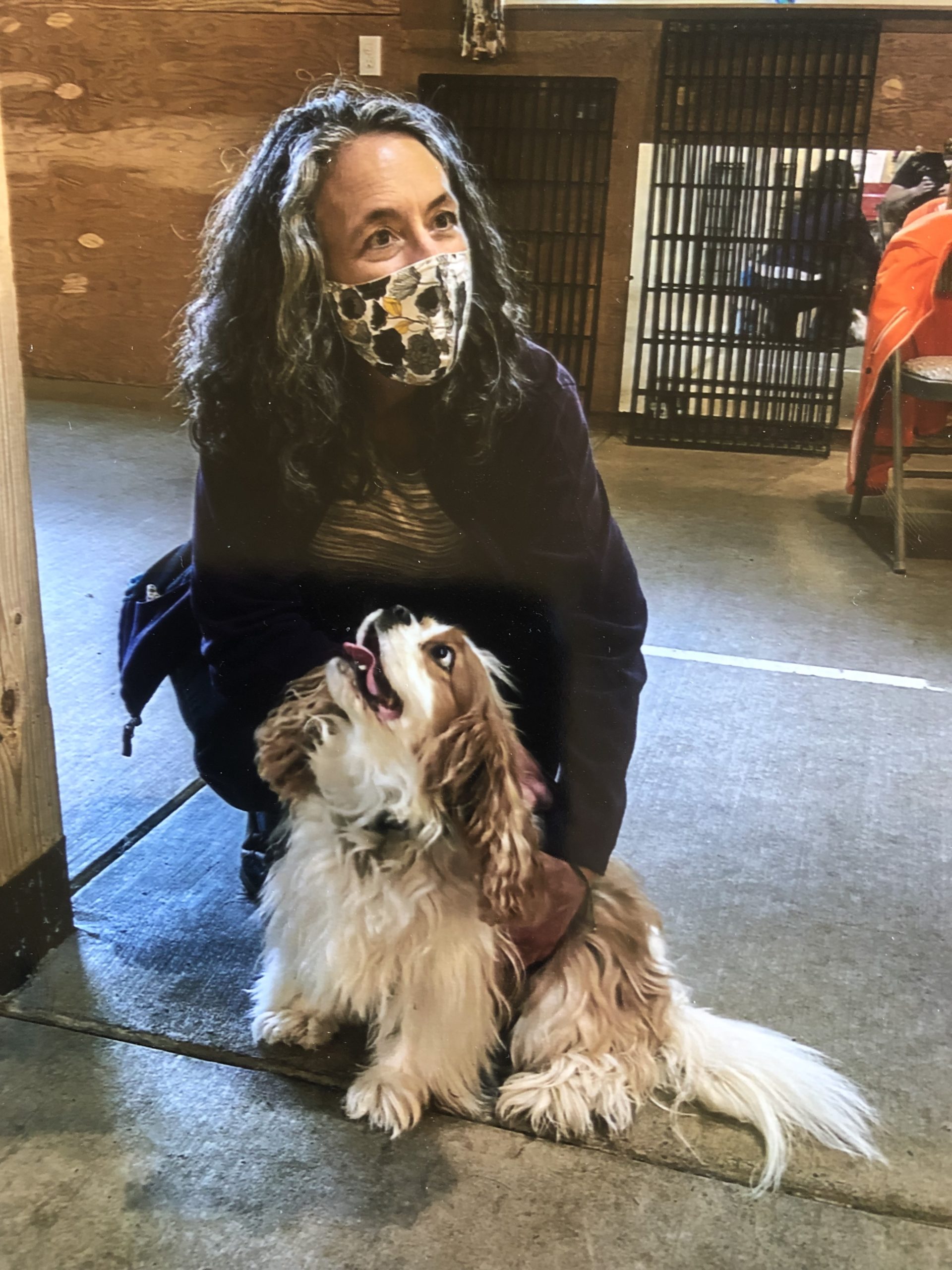 About Bright Spot Dog Training