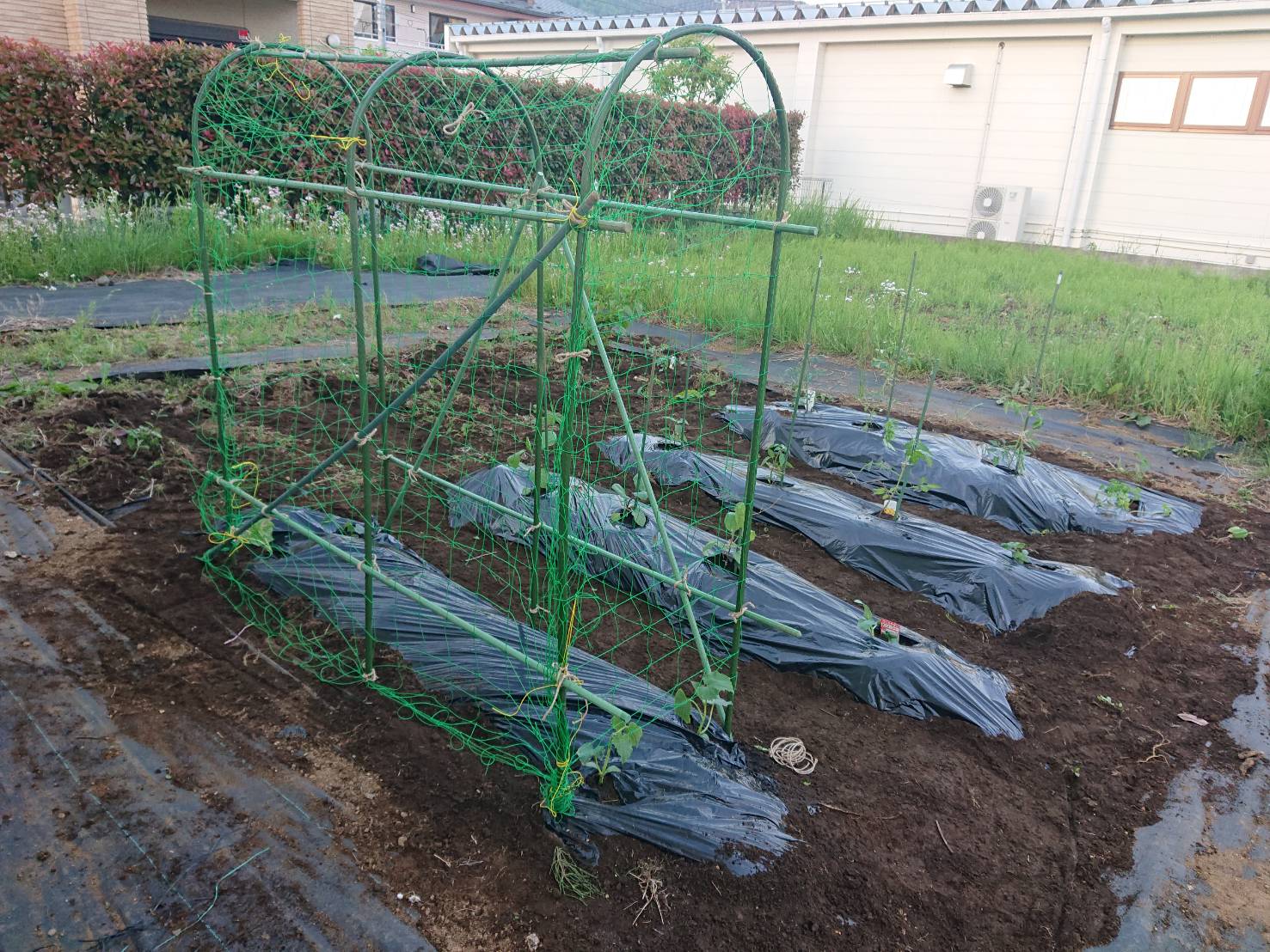 家庭菜園 カトリホーム【注文住宅】山梨（甲府、河口湖、富士吉田、笛吹、甲斐、大月、都留）