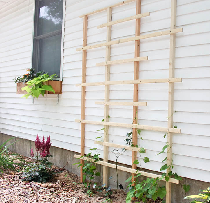 DIY garden trellis ideas