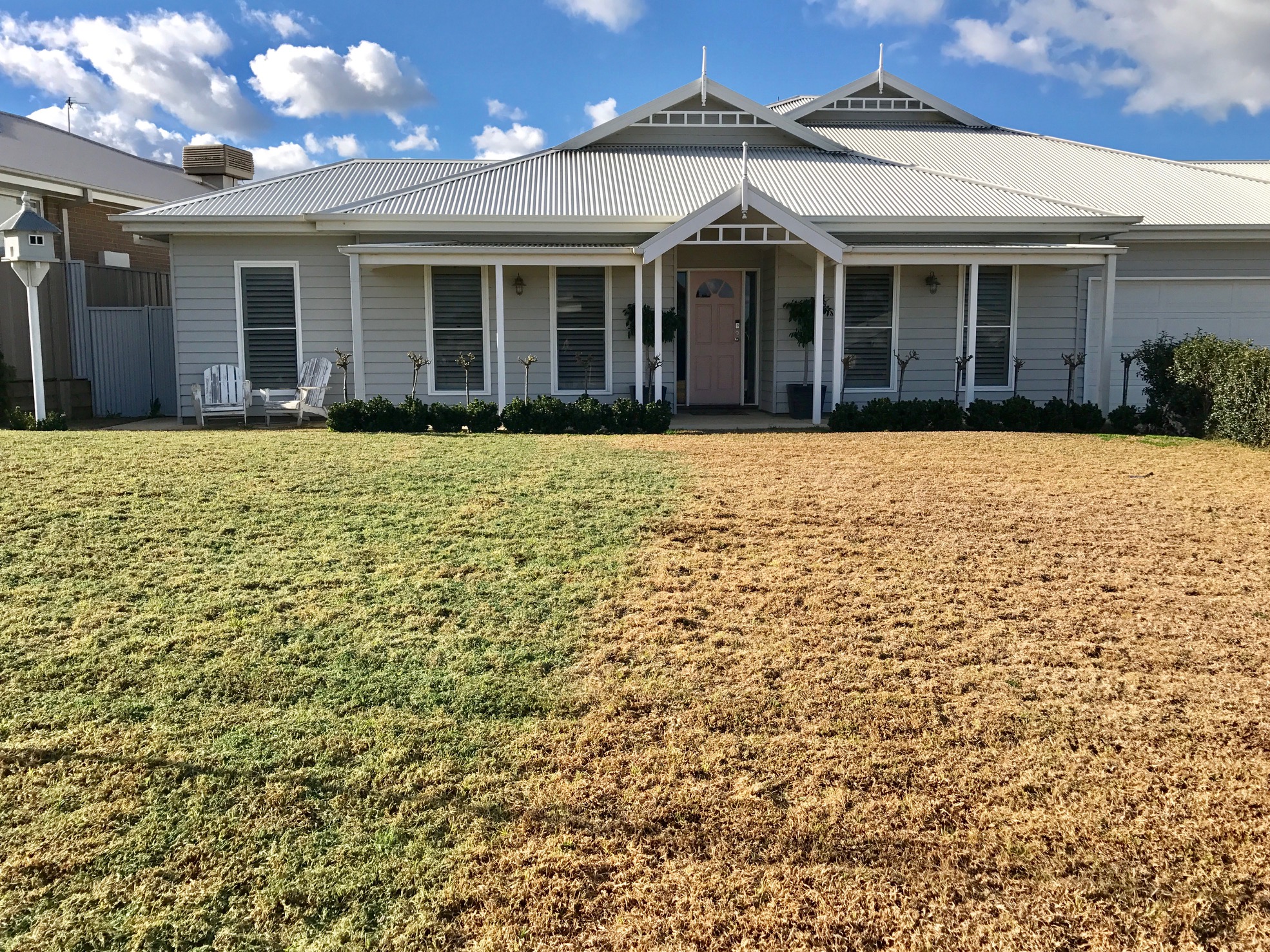 Paint your lawn green!