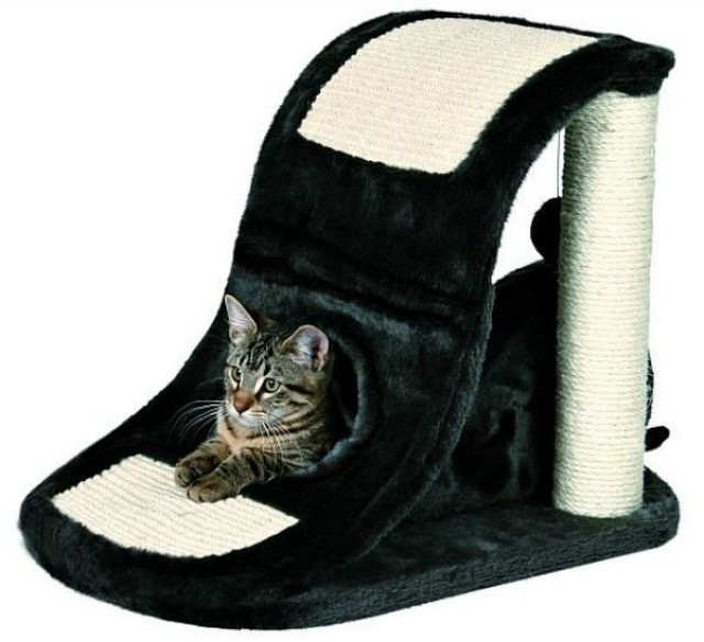 Katzen Zubehoer Kleinanzeigen Katzen Zubehoer Annoncen Katzen