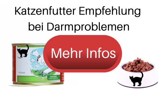 Darmsanierung Katze Nach Antibiotika Captions Ideas