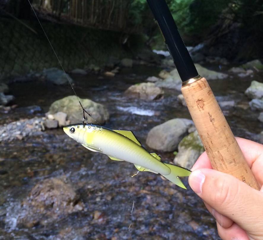 手軽にルアーで鮎が釣れる!?鮎をルアーで簡単に釣る方法とは 川遊びマップ
