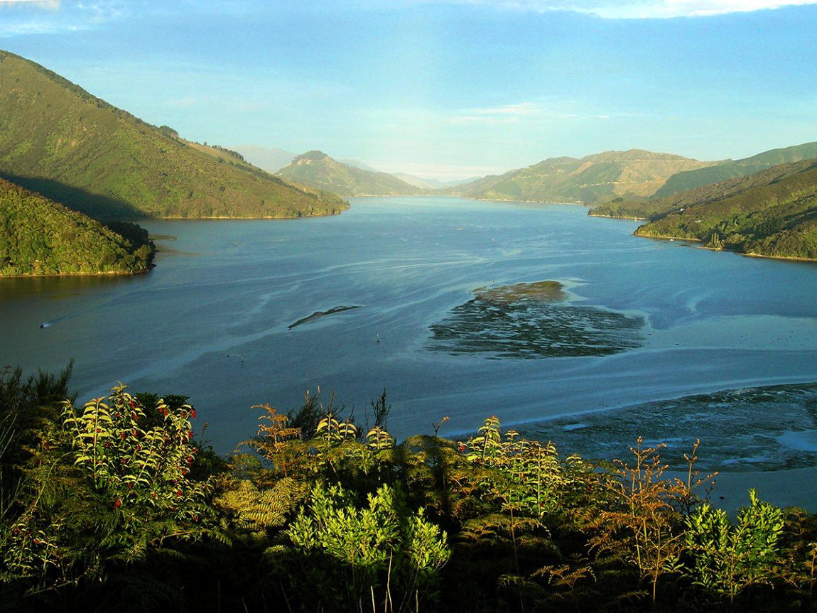 The Top 10 Things to Do in Marlborough, New Zealand