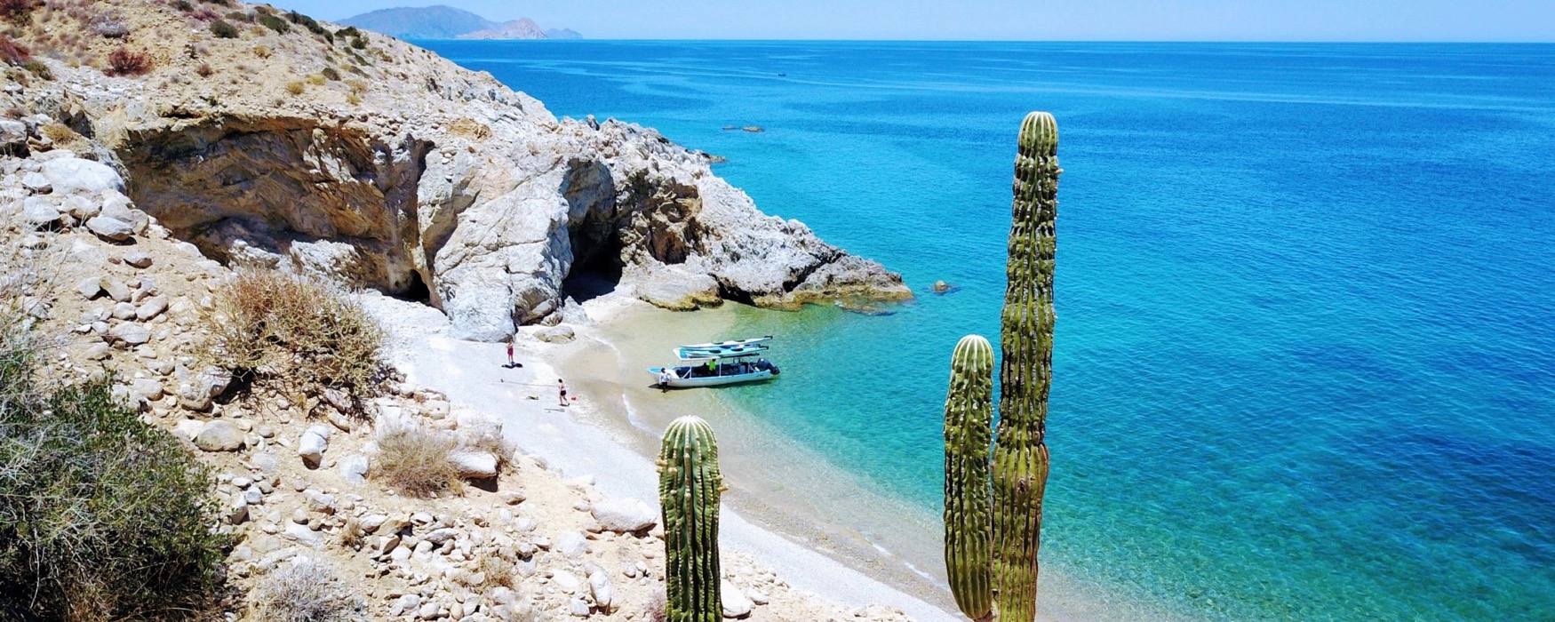 Sea of Cortez Sampler (8 days) Sea & Adventures/Mar Y Aventuras