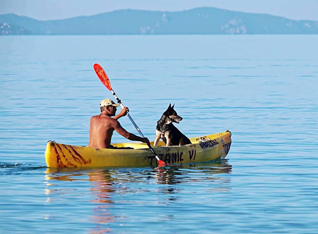 21 Kayak Painting Ideas & Designs Kayak Help