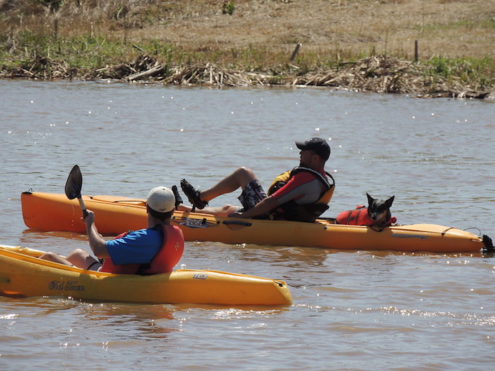 10 Cheap Pedal Kayaks In 2024 Kayak Help