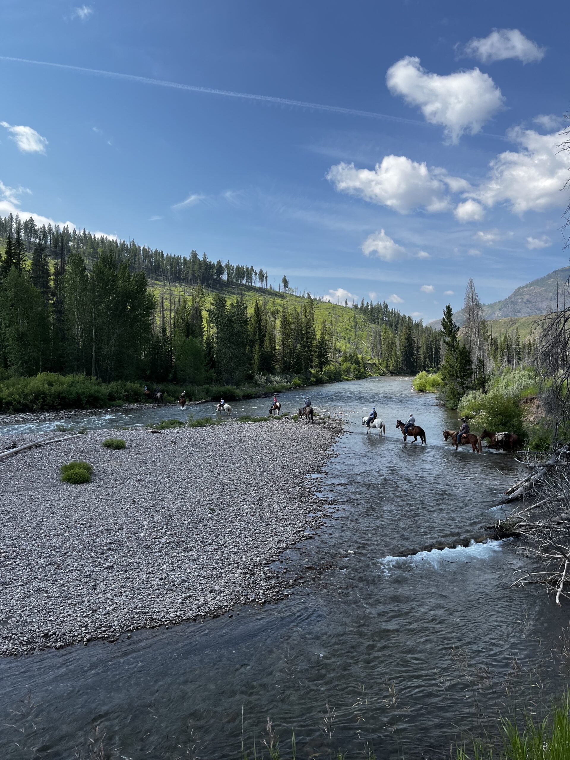 Cover 8 K Bar L Ranch & Medicine Springs