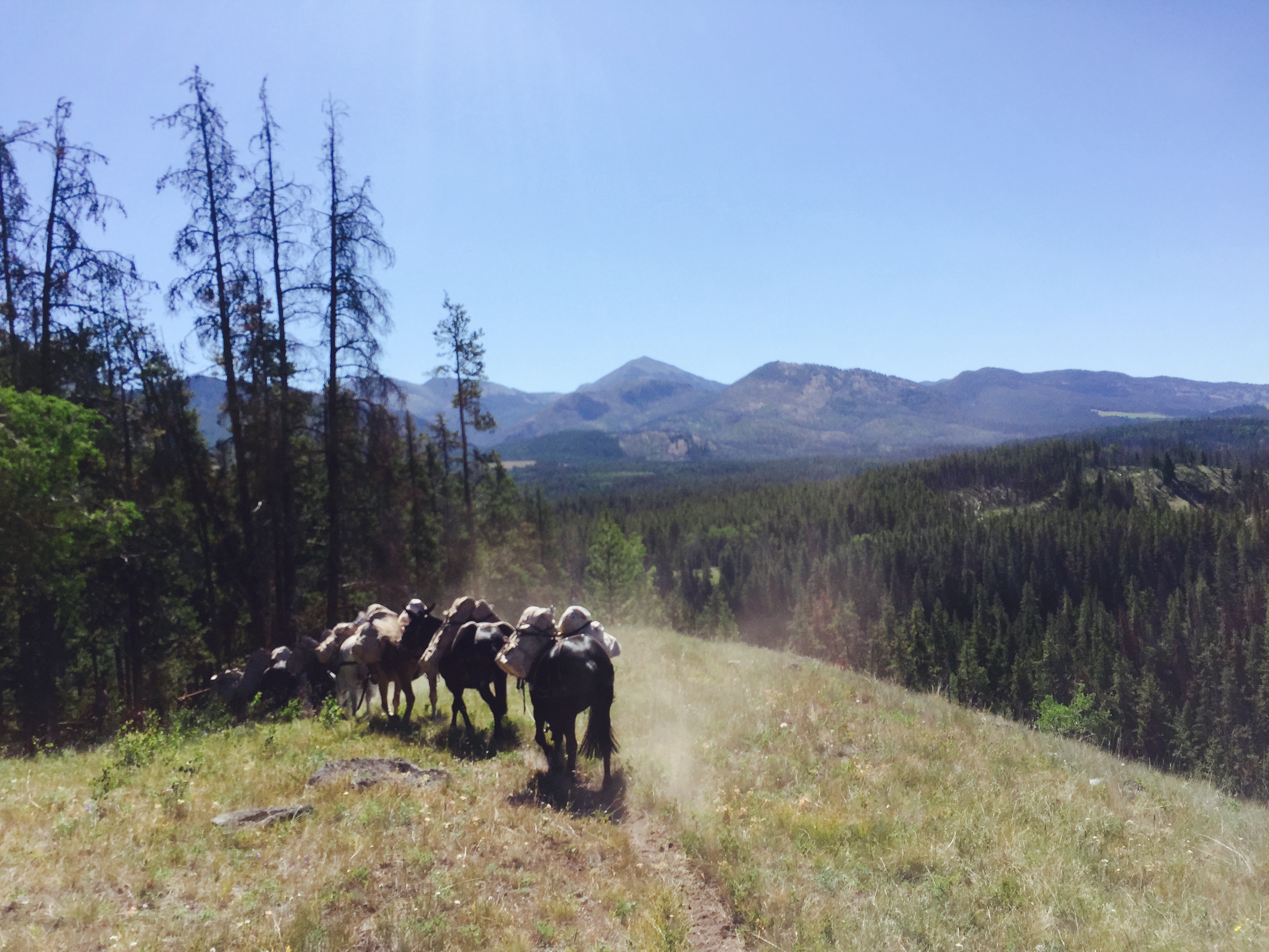 FullSizeRender11 K Bar L Ranch & Medicine Springs