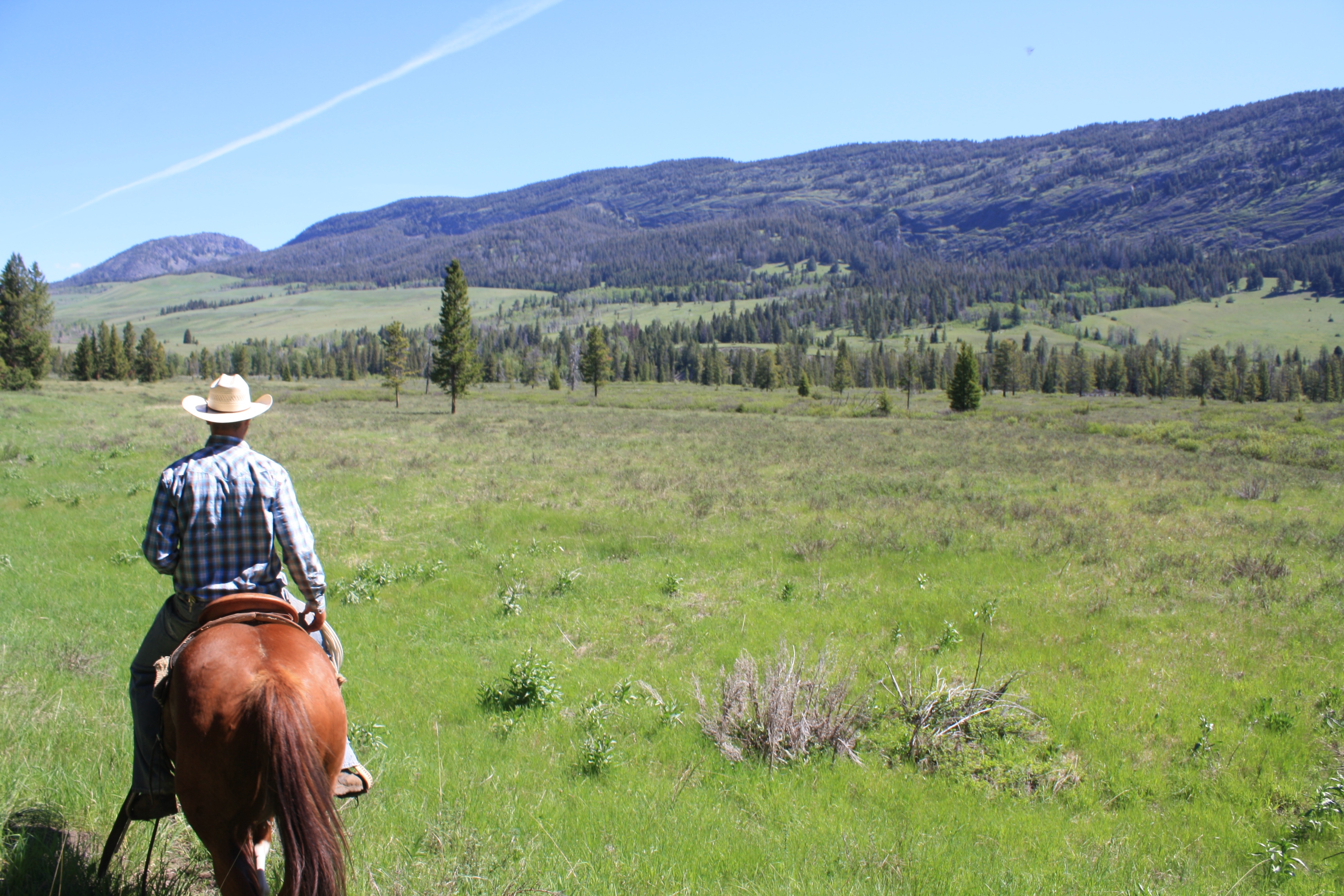 Horseback Riding K Bar L Ranch & Medicine Springs