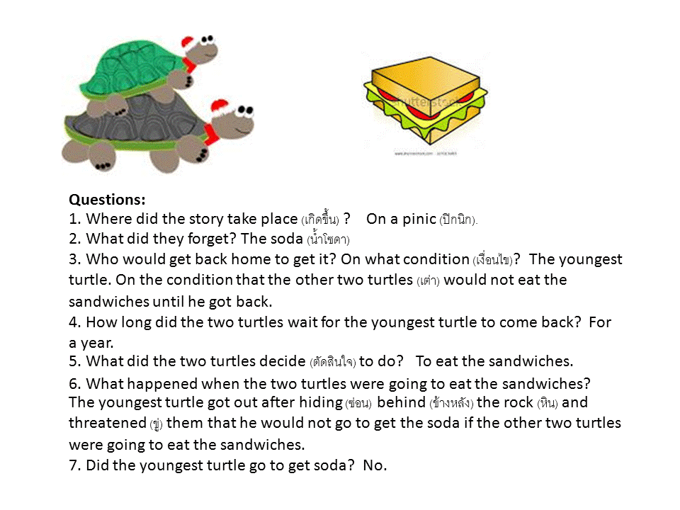 Three Turtles