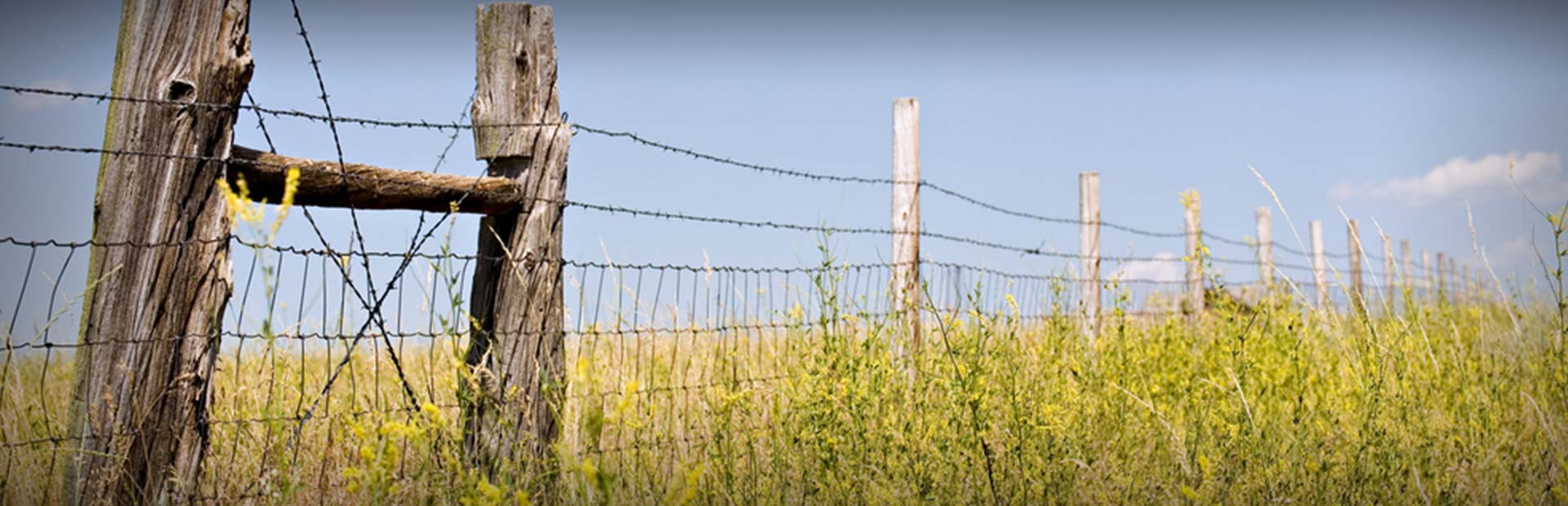 KB Style Adventures in Eads Colorado near Denver