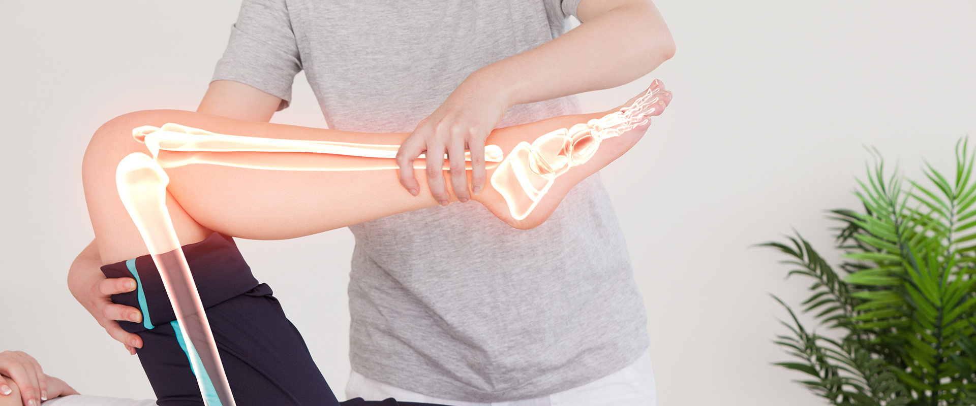 Orthopaedic Manual Therapy