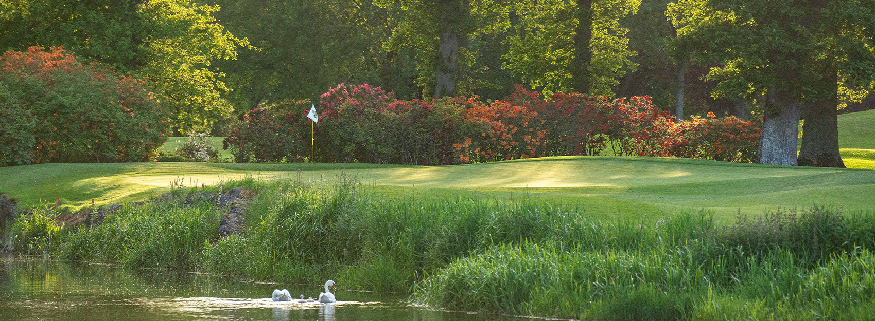 Golf Courses in Kildare Best Golf Courses Ireland The K Club