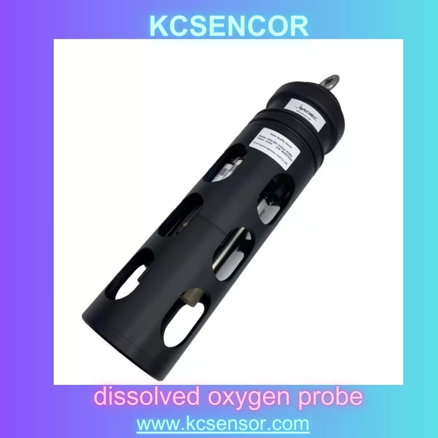 Gateway to Accurate Dissolved Oxygen probe Measurements 1