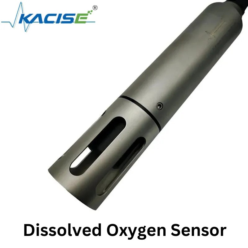 Importance of Dissolved Oxygen Sensors & How Enhance Water