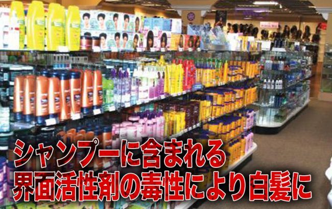 人気おすすめの馬油シャンプー10選【口コミ/白髪/比較/無添加】 | Ecoko 髪が１回で増えた？？？ 髪の毛が黒くなるシャンプーができました 髪をはやす 髪の毛の悩み 増毛 抜け毛をなくす 育毛ができる 髪が黒くなる レアアース 馬油シヤンプ 男性性欲 女性は性欲拡大 奇跡がおきます